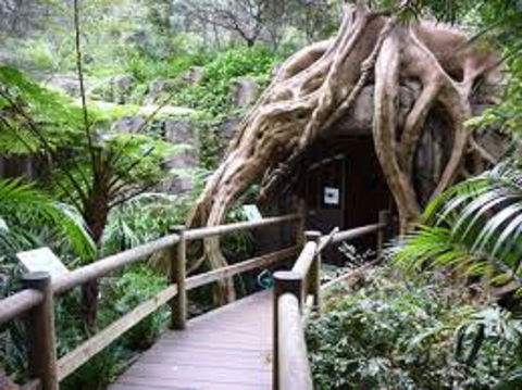 Tamborine Mountain Glow Worm Tours - Accommodation Port Macquarie 2
