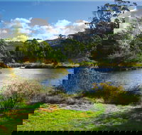 Tasmanian Arboretum Inc. - The - Accommodation Port Macquarie