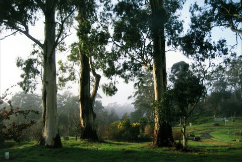 Tasmanian Arboretum Inc. - The - Accommodation Port Macquarie 1