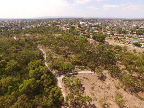 The Pines Flora And Fauna Reserve - Accommodation Port Macquarie 0