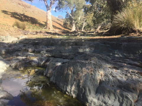 Three Creeks Station -Arkaroona Creek Walk - Accommodation Port Macquarie 0