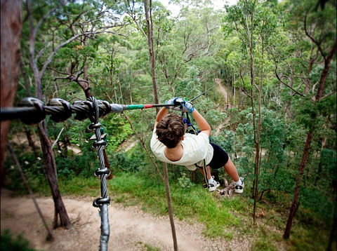 TreeTop Challenge - Accommodation Port Macquarie 0