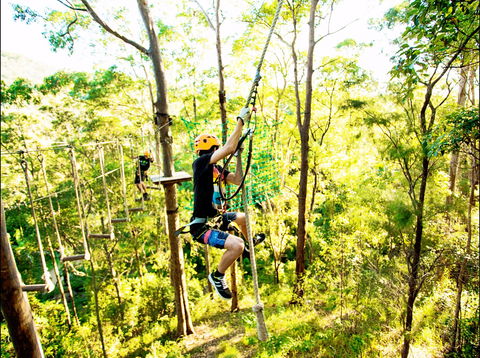TreeTop Challenge - Accommodation Port Macquarie 1