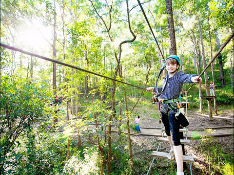 TreeTop Challenge - Accommodation Port Macquarie 2