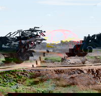 Turbo Buggy Ride - Accommodation Port Macquarie