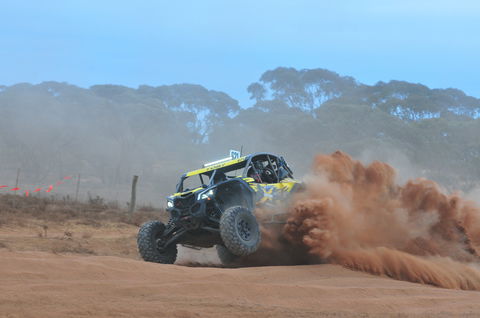Turbo Buggy Ride - Accommodation Port Macquarie 1