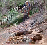 Turner Hill Mountain Bike Trail Murray - Accommodation Port Macquarie