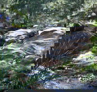 Washpools waterhole - Accommodation Port Macquarie