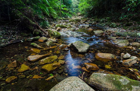 Willi Willi National Park - Accommodation Port Macquarie 0