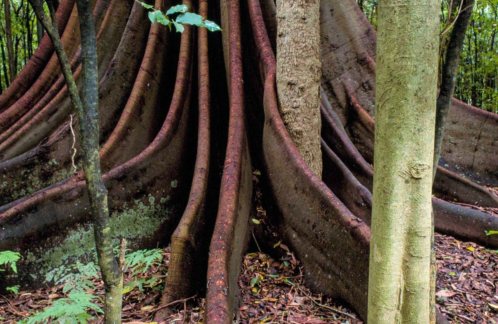 The Bight NSW Accommodation Port Macquarie