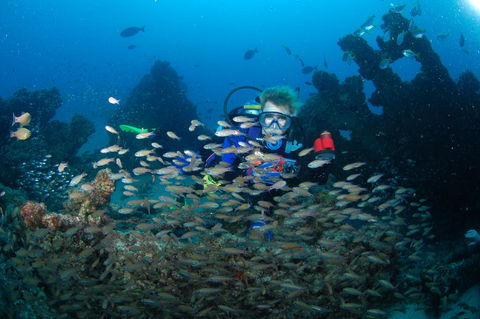 Aarhus Dive Site - Accommodation Port Macquarie 0
