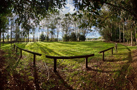 Aboriginal Bora Ring - Accommodation Port Macquarie 0