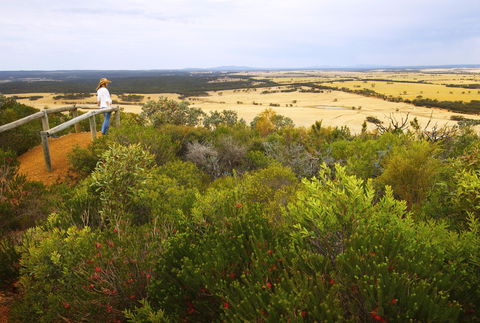 Archer Drive Scenic Drive And Lookout - Accommodation Port Macquarie 0