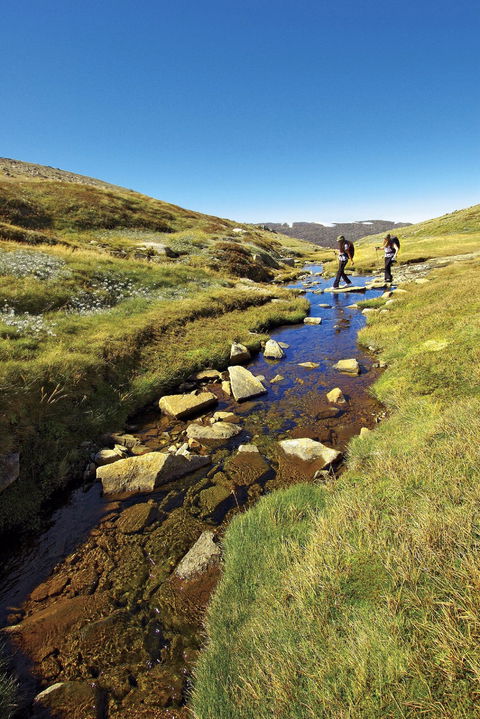 Australian Alps Walking Track - Accommodation Port Macquarie 0