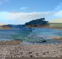 Bass Point Reserve - Accommodation Port Macquarie