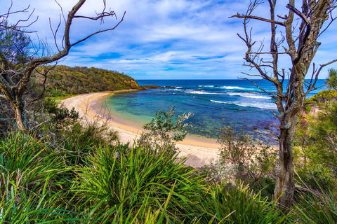 Bendalong (Inyadda) Beach - Accommodation Port Macquarie 0
