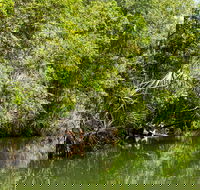 Berry Springs Nature Park - Accommodation Port Macquarie