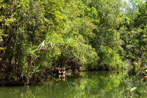 Berry Springs Nature Park - Accommodation Port Macquarie 0