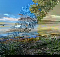 Black Oaks Picnic Area - Accommodation Port Macquarie