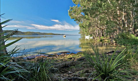 Black Oaks Picnic Area - Accommodation Port Macquarie 0