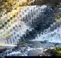 Bridal Veil Champagne and No Name Falls - Accommodation Port Macquarie