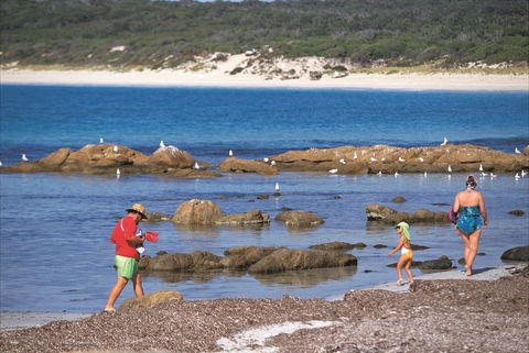 Bunker Bay - Accommodation Port Macquarie 1