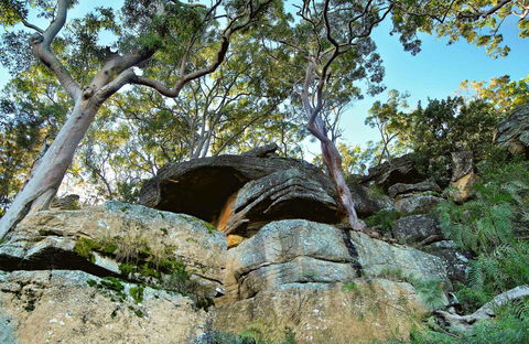 Burrawang Reach Picnic Area - Accommodation Port Macquarie 0