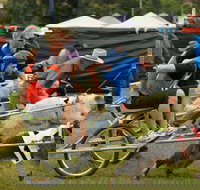 Comboyne - Accommodation Port Macquarie