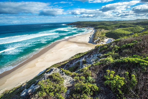 Conspicuous Cliff - Accommodation Port Macquarie 0