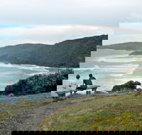 Connors Walking Track - Accommodation Port Macquarie
