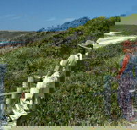 Conjola Beach Picnic Area - Accommodation Port Macquarie
