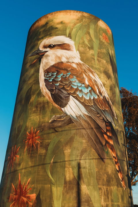 Deniliquin Water Tower Mural - Accommodation Port Macquarie 0