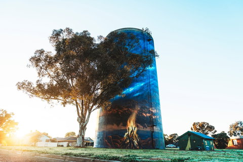 Deniliquin Water Tower Mural - Accommodation Port Macquarie 1