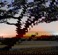 Eden Valley Lookout - Accommodation Port Macquarie