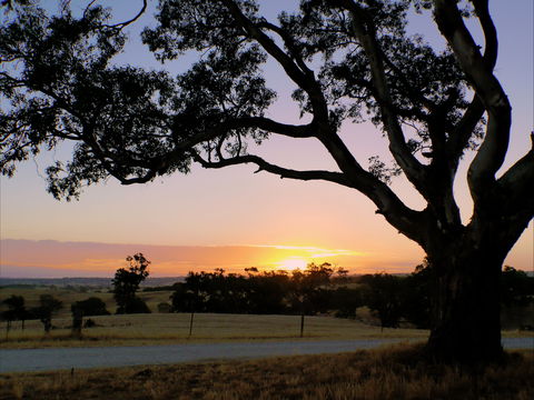 Eden Valley Lookout - Accommodation Port Macquarie 0