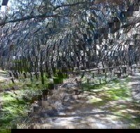 Federation Walk - Accommodation Port Macquarie