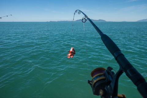 Fishing At Magnetic Island - Accommodation Port Macquarie 1