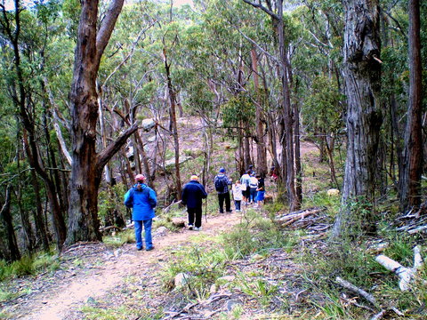 Greater Blue Mountains Heritage Trail - Accommodation Port Macquarie 2