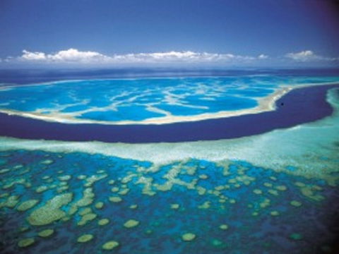 Hardy Reef - Accommodation Port Macquarie 0