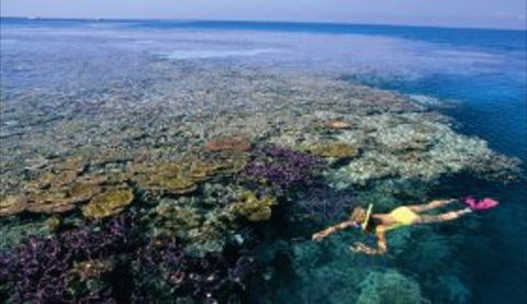 Hardy Reef - Accommodation Port Macquarie 1