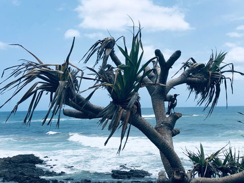 Hastings Point Beach - Accommodation Port Macquarie 0