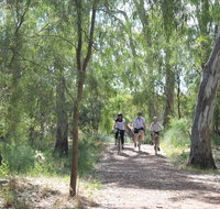 Hay Free Push Bikes - Accommodation Port Macquarie