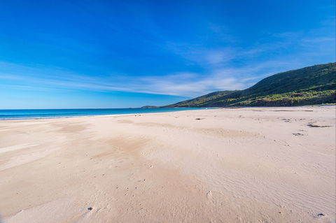 Island Beach - Accommodation Port Macquarie 0