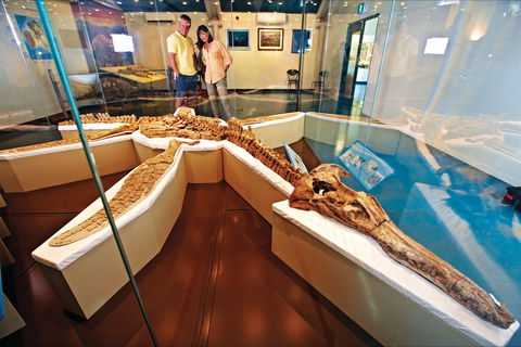 Kronosaurus Korner - Accommodation Port Macquarie 1