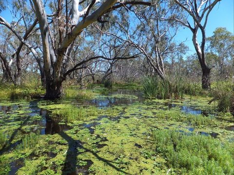 Macquarie Valley Trails - Accommodation Port Macquarie 0