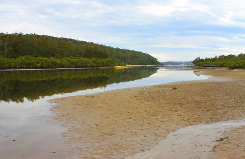 Mangrove Walk - Accommodation Port Macquarie 0