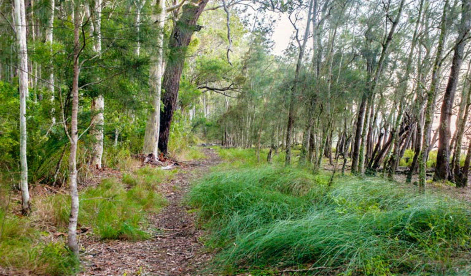  Accommodation Port Macquarie