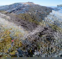 Mt Buller Bike Park - Accommodation Port Macquarie