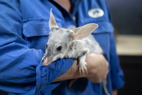 Natural Sciences Loop - Accommodation Port Macquarie 2