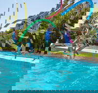 Oaklands War Memorial Swimming Pool - Accommodation Port Macquarie